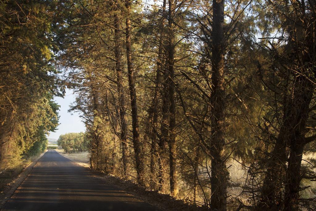 Eco Resort Dei Siriti Nova Siri Zewnętrze zdjęcie